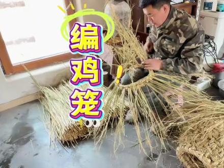 关于营地那只大公鸡 有个家🏠 #传统手工艺传承 #民间老手艺 #编鸡笼 #鸡笼子 #手工鸡笼制作