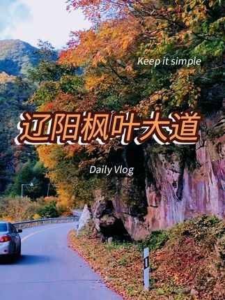 离鞍山最近的“枫叶大道”,绝美景色堪比号称中华最美枫叶之路的本桓公路,每一个转角都是惊喜,每一次停车都是大片。导航路线:下达河—河栏五层砬子—长岭子。#最美公路风景 #感受大自然 #枫叶红了