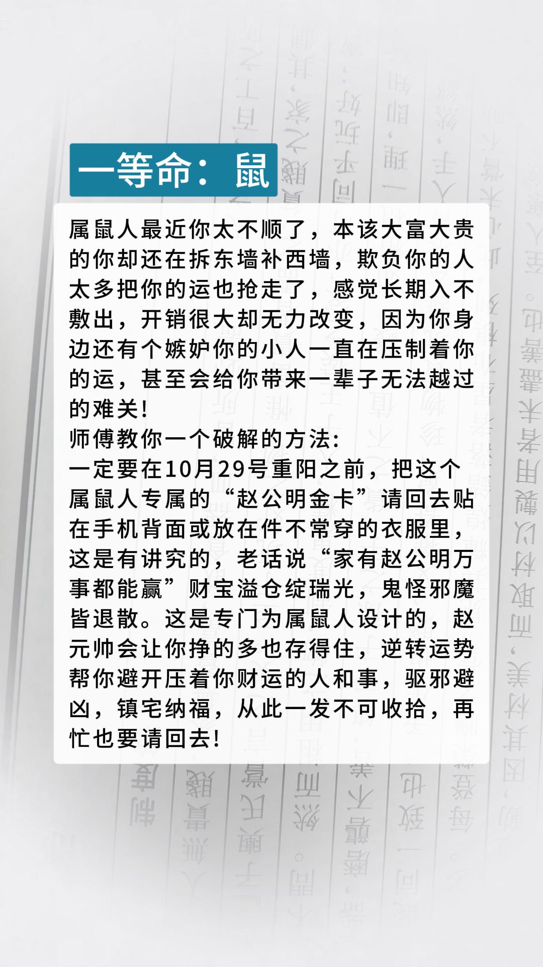 #鼠 #属鼠 #生肖鼠