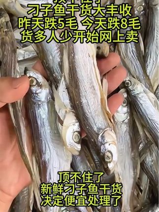 湖北特产刁子鱼小咸鱼干,下酒下饭,你们喜欢吃吗#刁子鱼干 #刁子鱼 #海鲜干货 #湖北特产