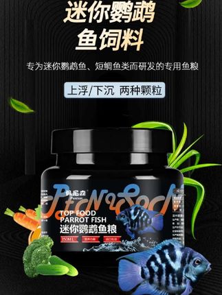 小型鱼热带鱼饲料#鱼缸里的大自然 #观赏鱼世界 #鱼儿自由自在的水中游 #观赏鱼 #小型鱼鱼粮