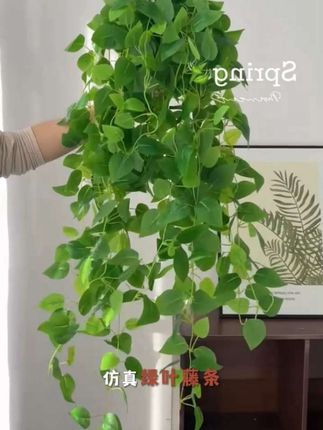 #仿真绿叶 仿真葡萄叶绿腾蔓绿叶植物管道室内装饰吊顶花藤#室内绿植 #净化空气