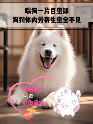 #养狗经验分享 #养狗小知识 #科学养宠攻略 #萌宠出道计划 #萌宠推荐官