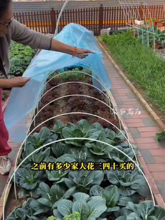 #玻璃纤维拱棚支架杆 #实用好物 #方便又实用 #好东西一起分享 #生活好帮手