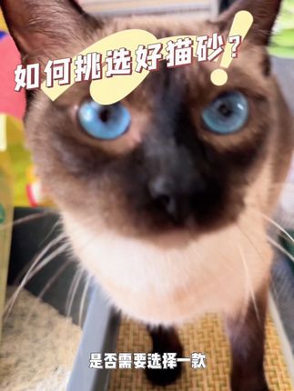 寻喵记豆腐混合猫砂#萌宠好物 #宠物用品 #养猫新手 #猫砂测评 #猫砂