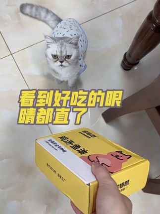 每次吃这个猫条就跟没吃过的一样!糊的一嘴都是😄#猫孩子零食 #多特思猫条