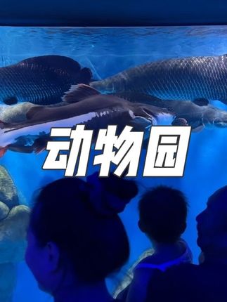 石家庄动物园,适合这个季节逛。#现在出发直达海底隧道 #石家庄极地海洋世界 #石家庄动物园