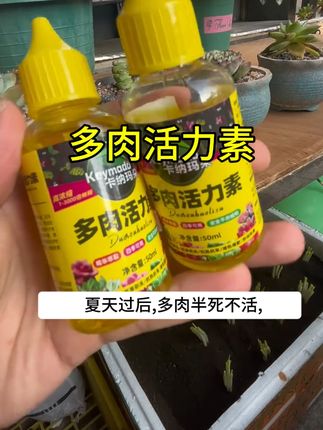 #康壮素多肉复壮型营养液,改善僵苗壮根.增肥.增色水溶叶面肥#养护小知识#多肉植物,