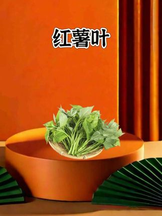 红薯叶 红薯尖#蔬菜种植 #红薯叶 #红薯尖 #红薯 #在抖音入手的好东西