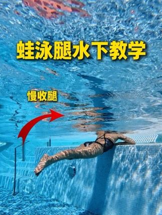 还搞不清楚蛙泳腿怎么蹬吗?#游泳 #学游泳 #游泳教学 #蛙泳 #蛙泳腿