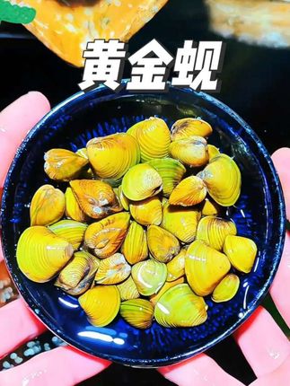 #黄金蚬 #鱼缸除藻 #养鱼日记#养鱼日记家人们,一定要来看看超棒的黄金蚬呀! 它可是水族界的清洁工,丢几只到鱼缸里,就会默默钻进底沙,像勤劳的小卫士,把鱼便、残饵等垃圾吃得干干净净,还能翻动底沙,让水质越来越清澈~ 别犹豫啦,赶快入手黄金蚬,让它为你的水族世界和餐桌都带来惊喜吧!#水族好物