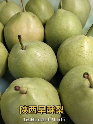 #陕西早酥梨#梨推荐#早酥梨#香甜爆汁@DOU+上热门