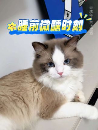 睡前微醺时刻,睡前来一杯梅子酒真是太舒服了#梅子酒 #微醺时刻 #睡前喝一杯 #喜野 #自由