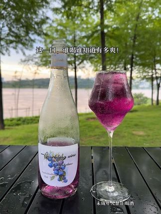 “夏天的快乐密码?藏在这瓶爆汁的蓝莓气泡果酒里咯~酸甜挂的果香裹着气泡钻舌尖,凉丝丝的直窜到心里~ 这一口,谁喝谁知道有多爽!”#微醺时刻 #仙女都在喝什么 #好喝到心花怒放 #好酒推荐 #酒与故事