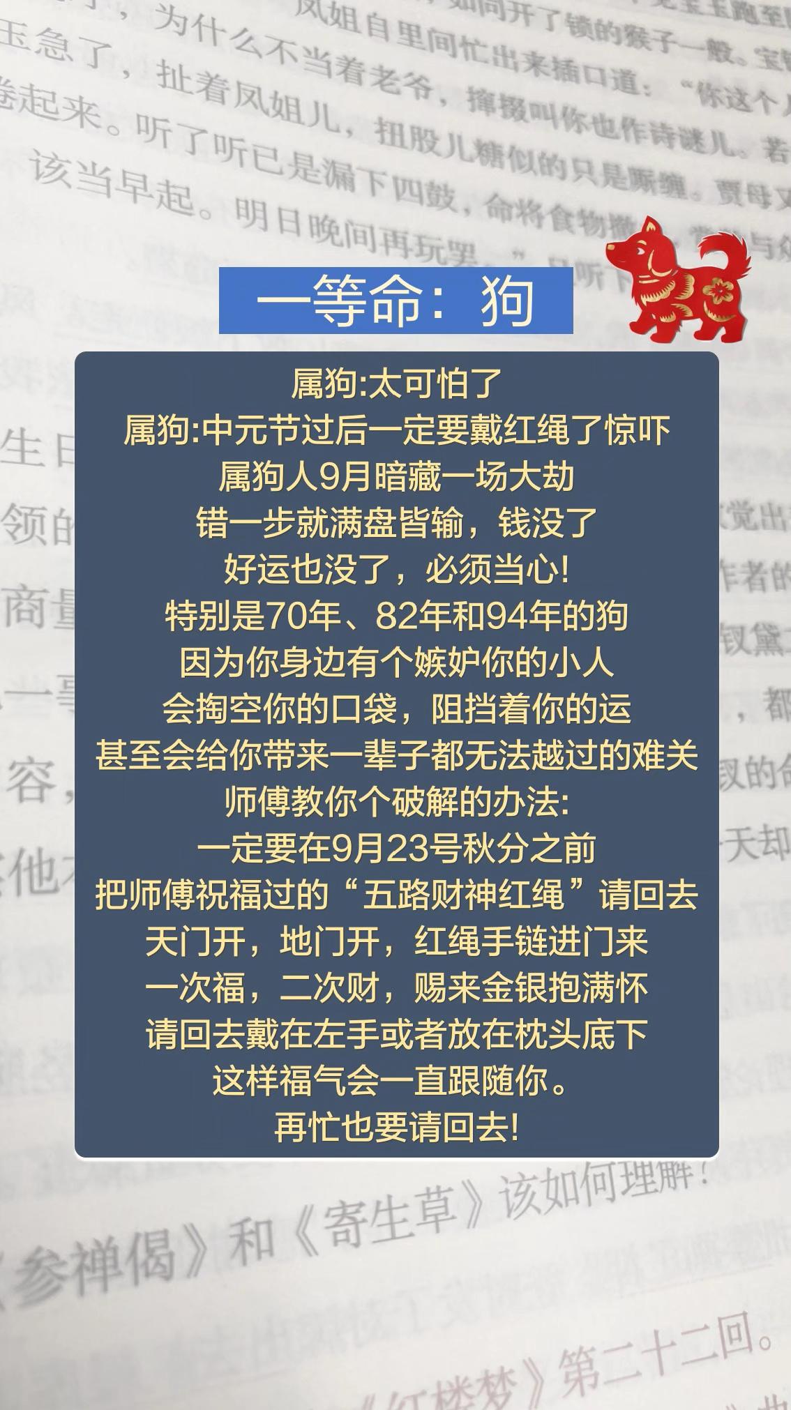 #70年的狗 #82年的狗 #94年属狗