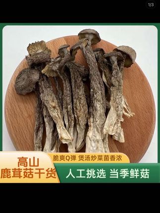 @上热门🔥🔥🔥 高山鹿茸菇精品农特产干货125g*4袋#鹿茸菇 #美食 #爆炒