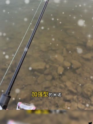 双勾查理亮片,大前年一个平顶山的钓鱼高手教我的钓法,水深 1 米以上就可以用了,鱼情差慢收小跳,夜钓慢收,泳姿和多节鱼一样,但是抛投更远,青稍,翘嘴,红尾,都可以用,
