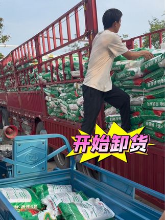 #上热门话题🔥🔥🔥🔥 #高产小麦种子 #服务三农支持三农 轮选6号到货了,抓紧抢购吧