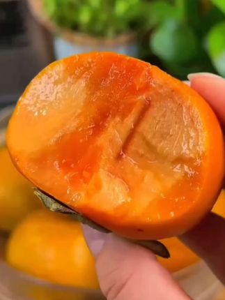 巧克力脆甜柿子,甜而不腻,吃了还想吃!#脆柿 #脆柿子 #柿子红了