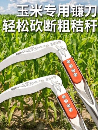 #割玉米专用镰刀 #镰刀 #锰钢镰刀 #农具 #三农
