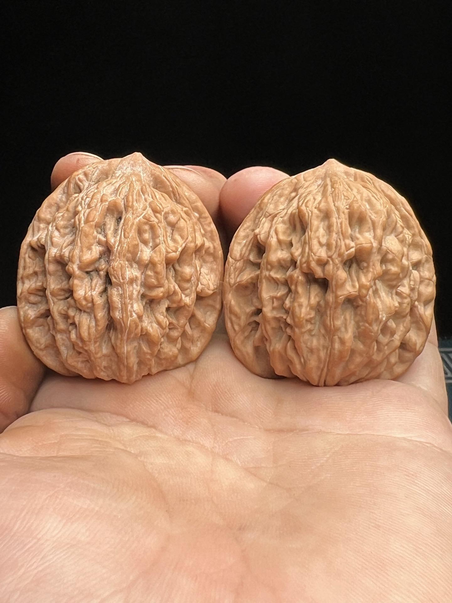 没有手法的拍照实物实拍。虎头全品 #文玩核桃 #盘核桃 #麦穗虎头