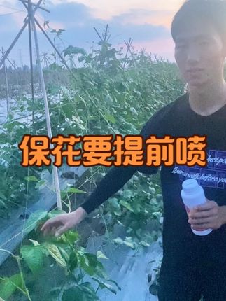蓟马抗性严重都能打#三农 #抖音助农扶农 #种地人 #蓟马#豆角