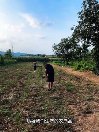 监督权在大家手里,随时随地欢迎您的监督! #健康农产品 #笨土豆 #食品安全