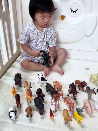 #纽奇家的仿真动物玩具 真的很推荐宝妈给孩子买一套,边玩边认知 每个做的都很真实,自带收纳盒方便收纳#仿真动物模型 #动物模型 #儿童玩具 #早教认知