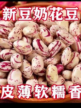 新芸豆#东北奶白花芸豆