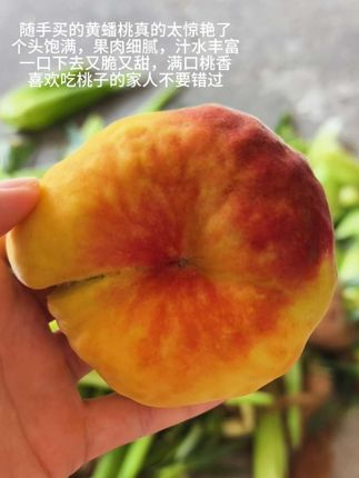 随手买的黄蟠桃真是太惊艳了!个头饱满,果肉细腻,汁水丰富,一口下去又脆又甜,满口桃香,喜欢吃桃子的家人不要错过了!#新鲜采摘 #夏日必备 #应季水果 #快来一起尝个鲜 #水蜜桃