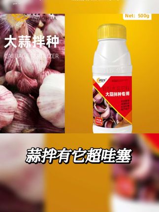 #大蒜拌种用