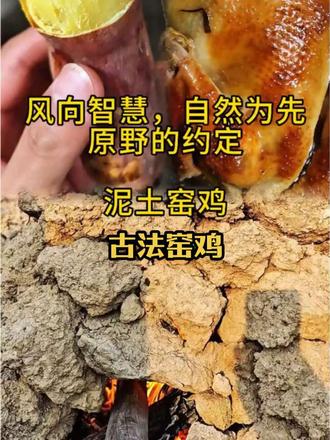 风向的智慧,自然为先,来自原野的约定!泥土窑鸡,古法窑鸡。#美食展示 #美味美食 #美食 #窑鸡 #阳山 @DOU+小助手