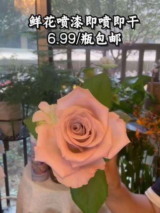 鲜花喷漆,即喷即干,无损花材#强烈推荐 #每日分享
