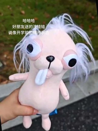 啊啊啊 是谁收到了好朋友送的#洗娃娃 #开学前的精神状态 #毛绒公仔 #吉娃娃