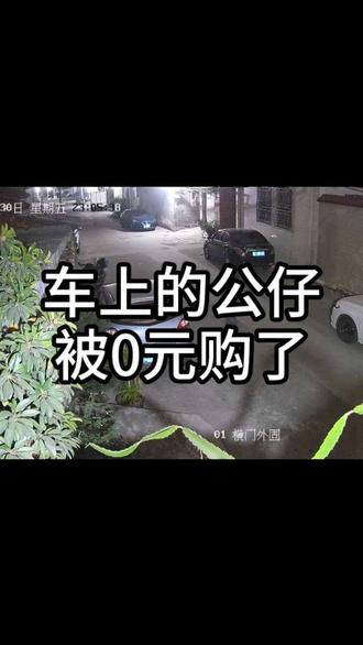 车上的公仔被0元购了,连保蛋龟龟都不放过#护蛋神器 #摩托车 #公仔 #gsx250r