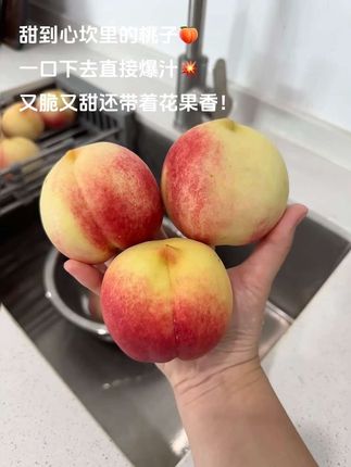 甜到心坎里的桃子🍑果皮像自带滤镜!咬开之后直接在嘴里爆汁!又脆又甜还带着花果香!一口就沦陷了 谁懂呀😋#蟠桃 #新鲜采摘 #应季水果 #桃子超甜 #水果