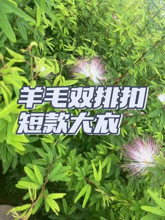 #大衣 #韩系穿搭 #秋冬穿搭 #高级感穿搭 #轻奢女装