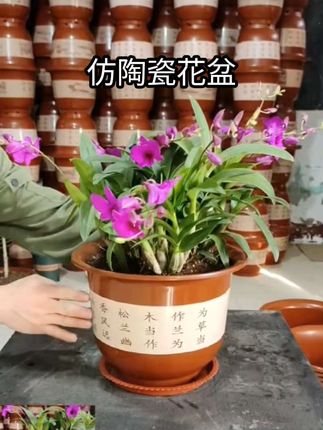 #透气花盆 #结实耐用 #质量杠杠的好 #超便宜超划算 #花盆推荐