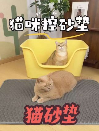 #猫咪 #猫砂垫 #猫砂垫测评 #猫砂垫推荐 #宠物的日常