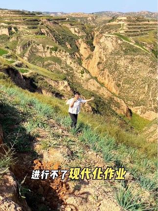 #陕北一级黄小米