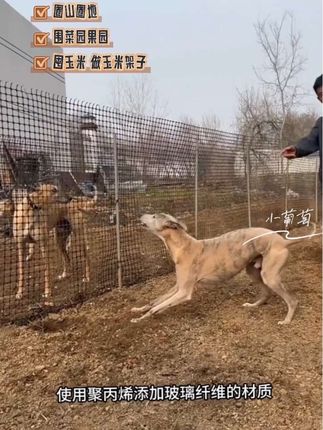 围菜园 围果园 围玉米 搞养殖就用它真的很用!!!