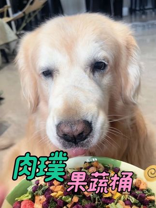 不要只会给狗狗喂肉肉啦!狗狗是杂食动物,蔬菜水果也要搭配起来哇~#宠物零食 #狗零食 #养宠好物 #萌宠好物