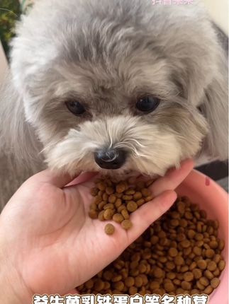 当天制作当天发货的鲜粮 这款狗粮很适合有泪痕挑食玻璃胃的狗狗吃 独立的真空锁鲜包装 不吃包退的 放心购#狗粮推荐 #好吃到停不下来 #狼图腾狗粮#科学养宠
