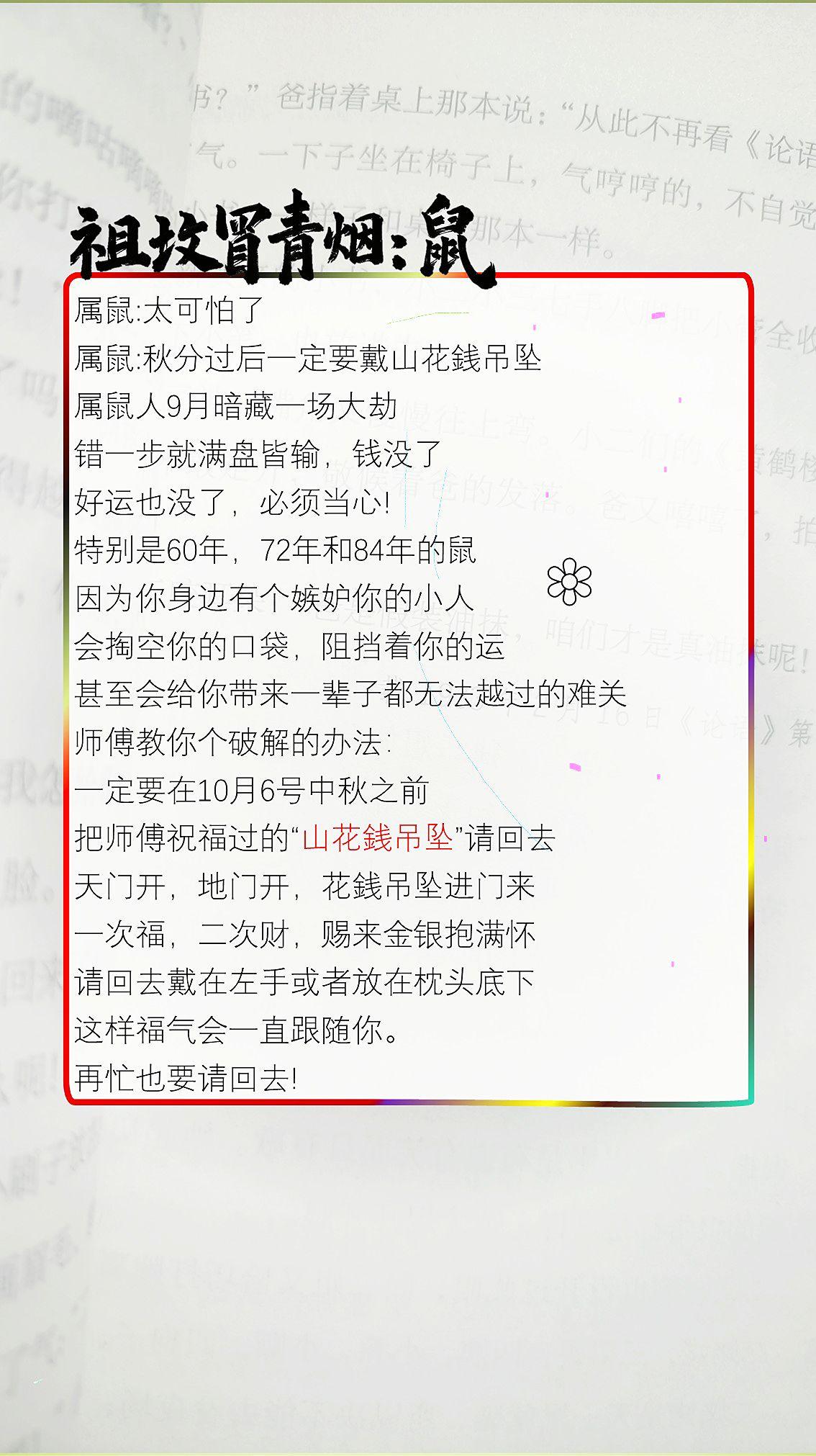 #鼠 #属鼠 #生肖鼠