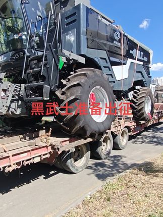 过几天下地给大家详细拍摄#股长