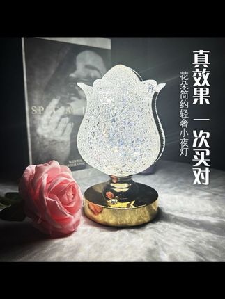 轻奢复古客厅玫瑰简约卧室房间亚克力小夜灯充电氛围灯#非常方便实用 #好物推荐🔥 #居家必备 #好物推荐🔥 #高颜值