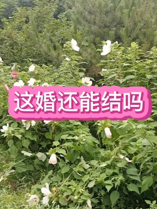 #民间故事 #故事会