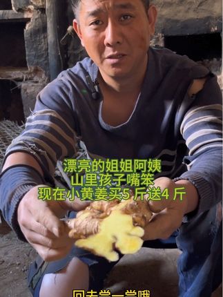 #云南小黄姜#大自然的馈赠 #家乡特产 #优质农产品