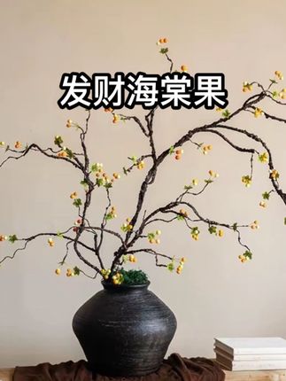家里放上这样一棵仿真海棠花,既美观又大气,朋友来了都说好看,而且不用浇水,也不用施肥,一年四季都是这样,花开满树,放在客厅里、卧室里、书房里都可以,寓意也很好。#家居软装搭配 #家居好物 #仿真花 #家居生活 #极简主义 掬熙海棠果假花仿真花摆设仿生花艺装饰摆件高级感逼真插花花束