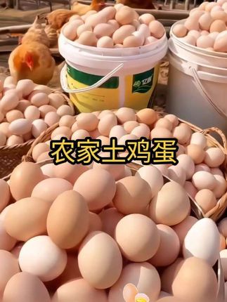 农家散养土鸡蛋来活动啦#农家土鸡蛋#鸡蛋#优质农产品 #太好吃了 #超便宜超划算